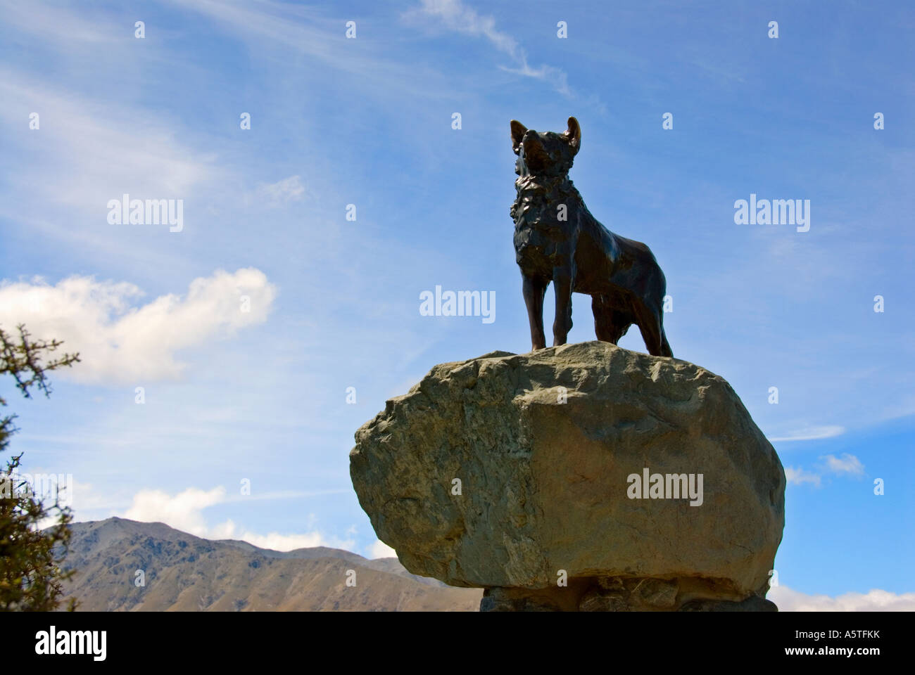 Collie dog statue on the banks of Lake Tekapo erected by the runholders