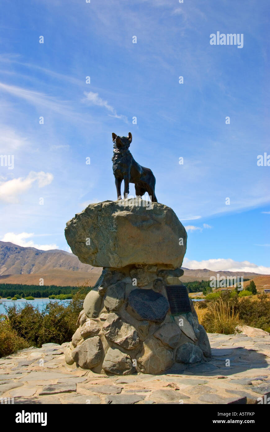 Collie dog statue on the banks of Lake Tekapo erected by the runholders