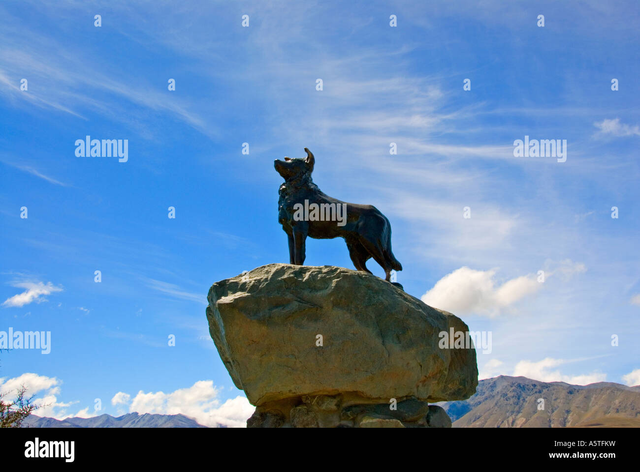 Collie dog statue on the banks of Lake Tekapo erected by the runholders