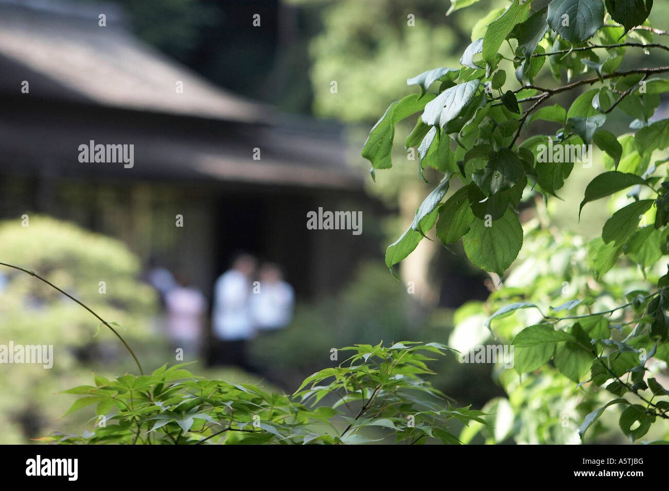 Traditional Japanese building Stock Photo Alamy