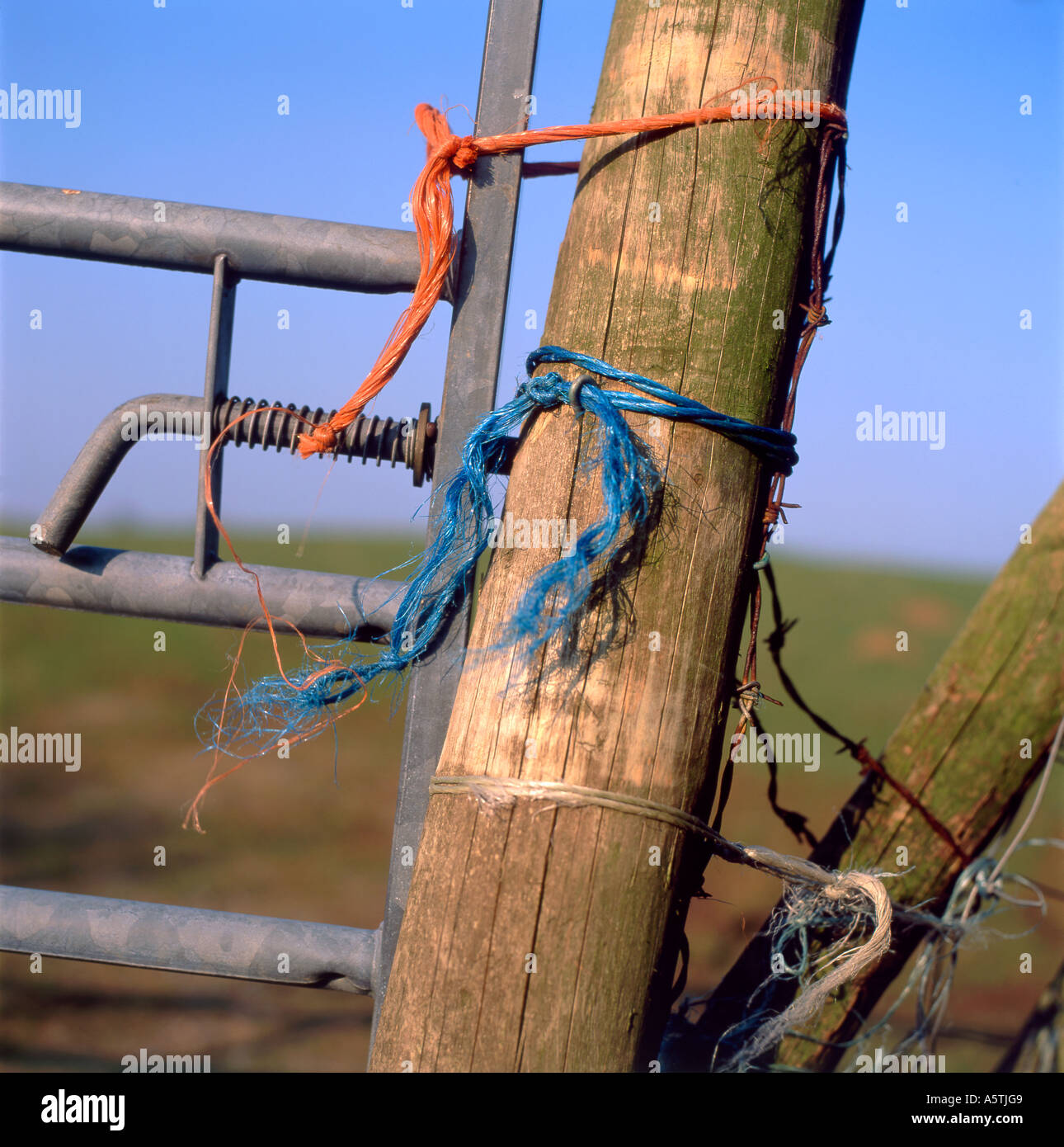 Baling twine hi-res stock photography and images - Alamy