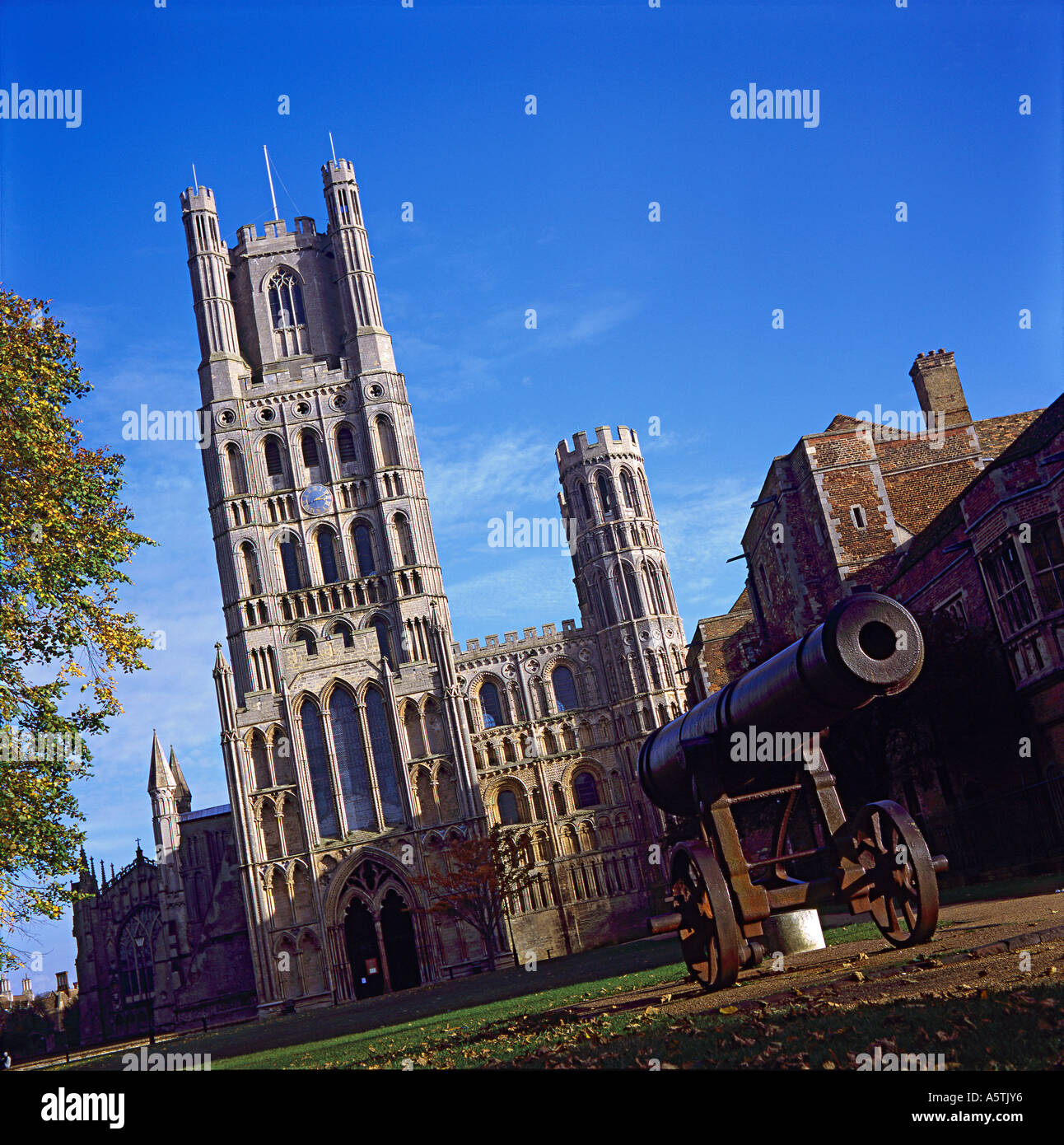 Front of Ely Cathedral Stock Photo - Alamy