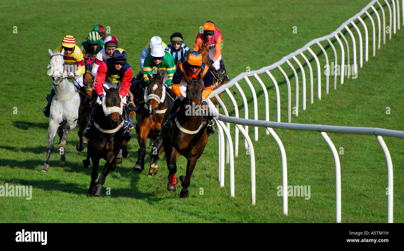 race horses at fakenham races, norfolk, england Stock Photo Alamy