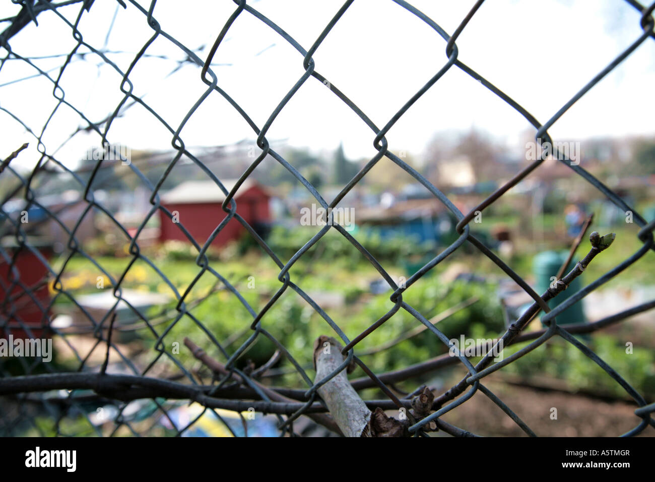urban allotments Stock Photo