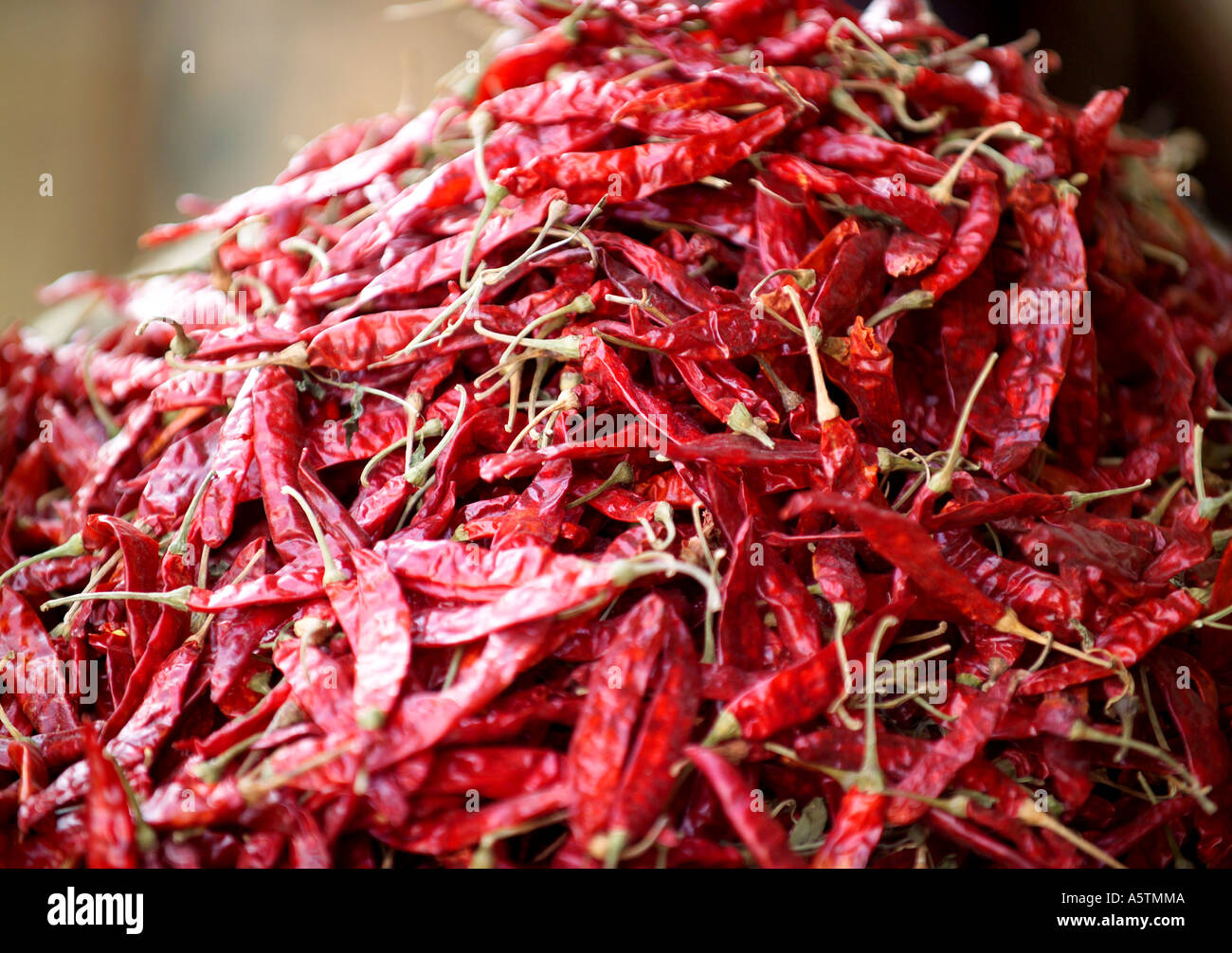 Chilli Durjava Dried Red Chili, Devaraja Fruit and Vegetable Market, Mysore, India ...