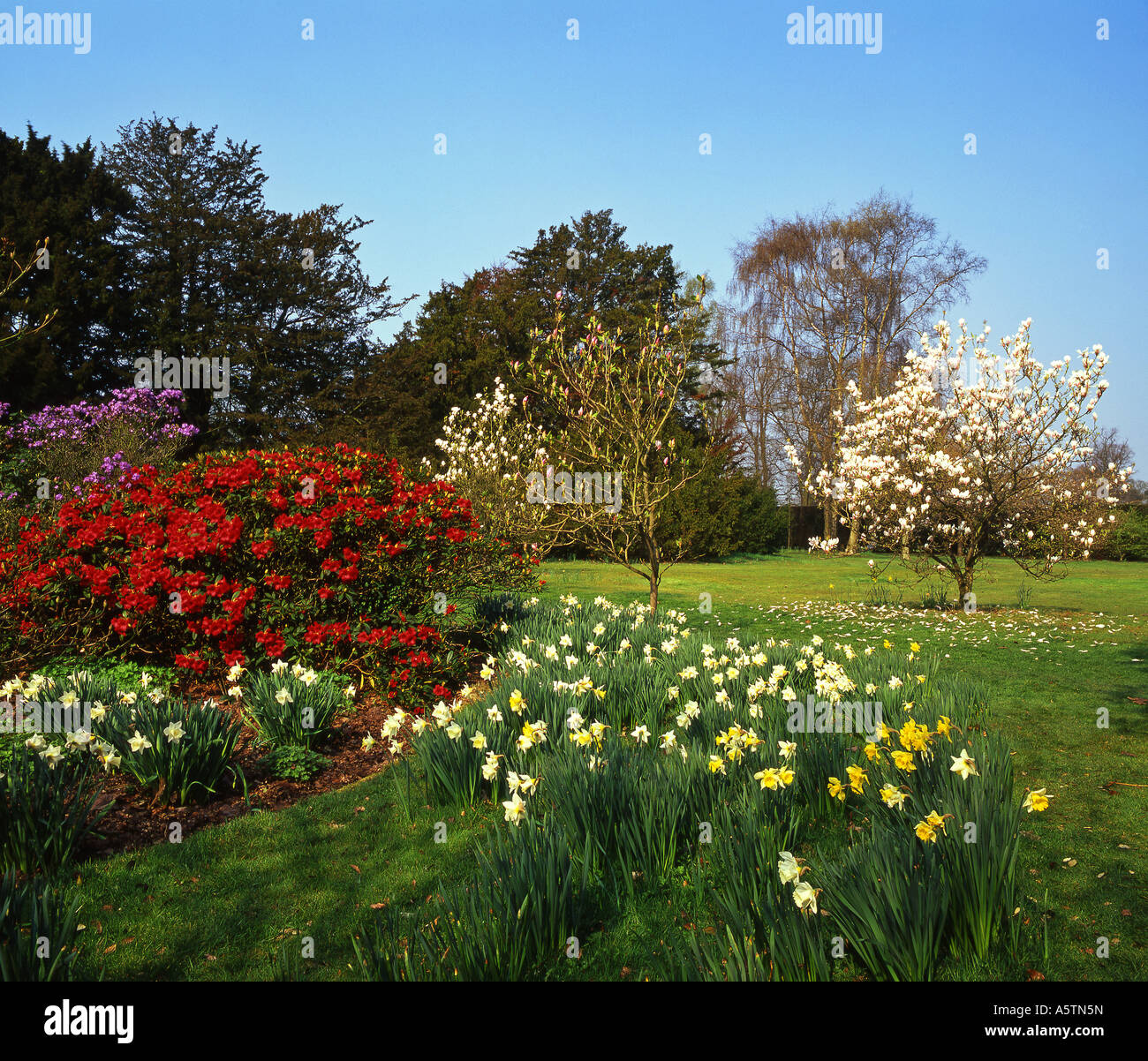 The GLade, Arley Hall and Gardens, Near Knutsford, Cheshire, England, UK Stock Photo