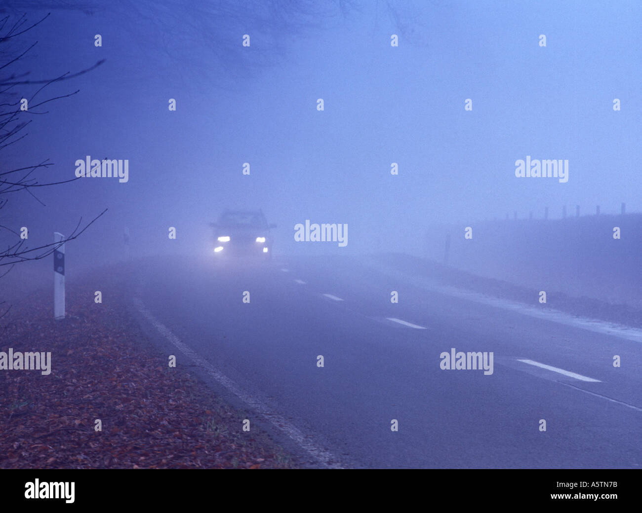 car on country road in fog Stock Photo - Alamy