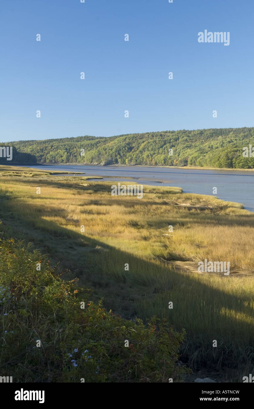 Bear River Nova Scotia Canada Stock Photo Alamy