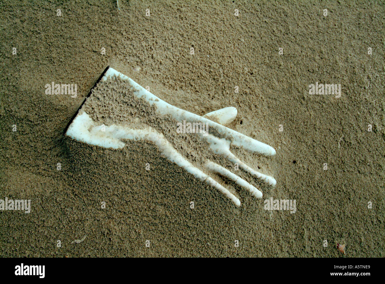 white rubber glove in sand on a beach Stock Photo Alamy