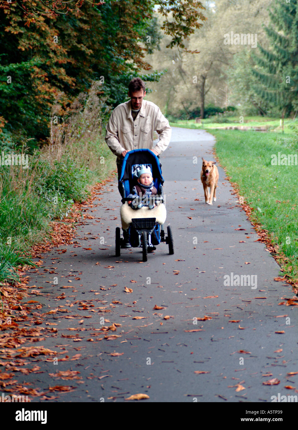 MR PR man pushing a baby buggy taking his baby and dog for a walk Stock