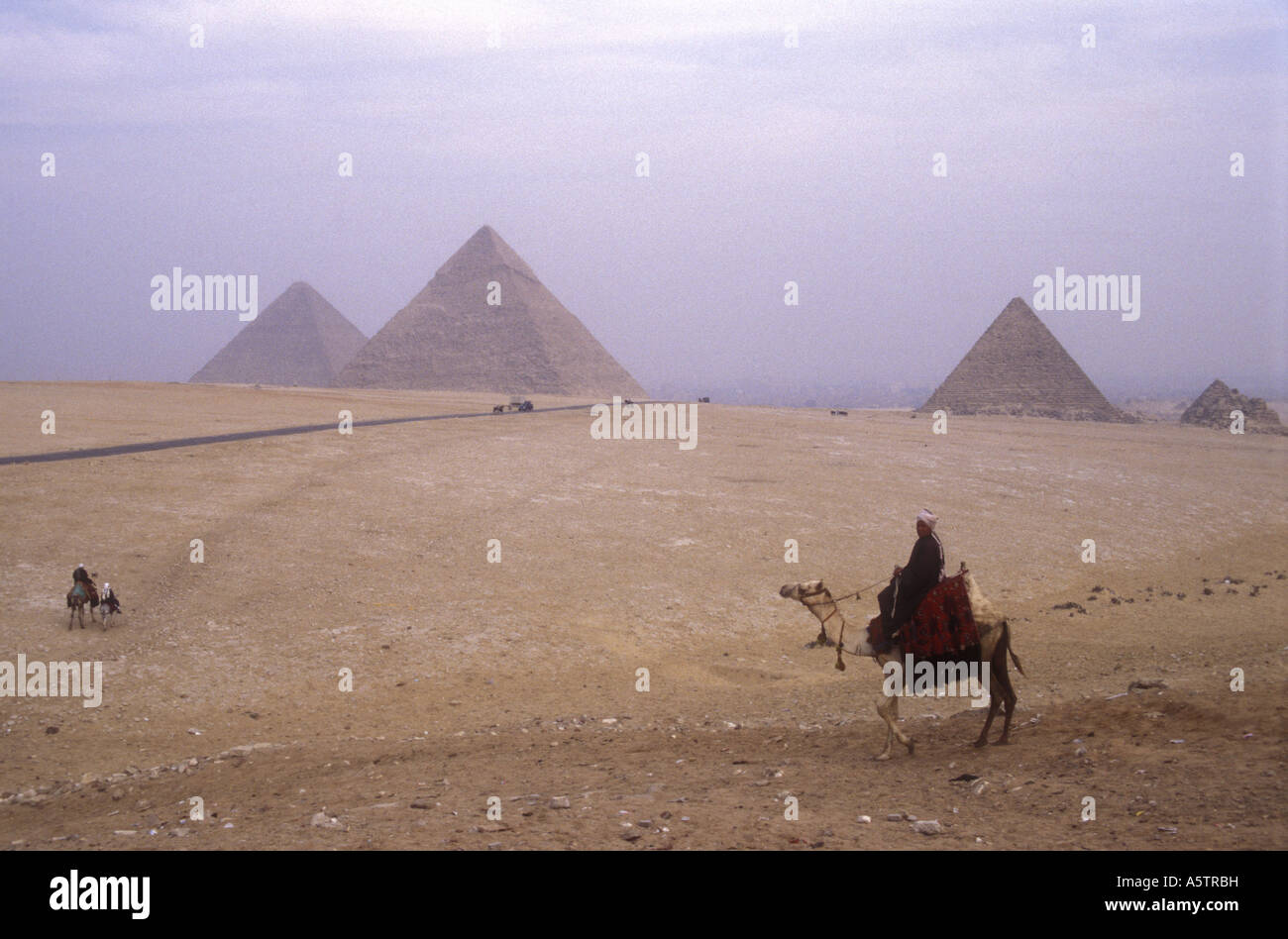 The Pyramids of Giza left Cheops centre Chephren right Mycerinus in Cairo Egypt Camel rider in the foreground Stock Photo