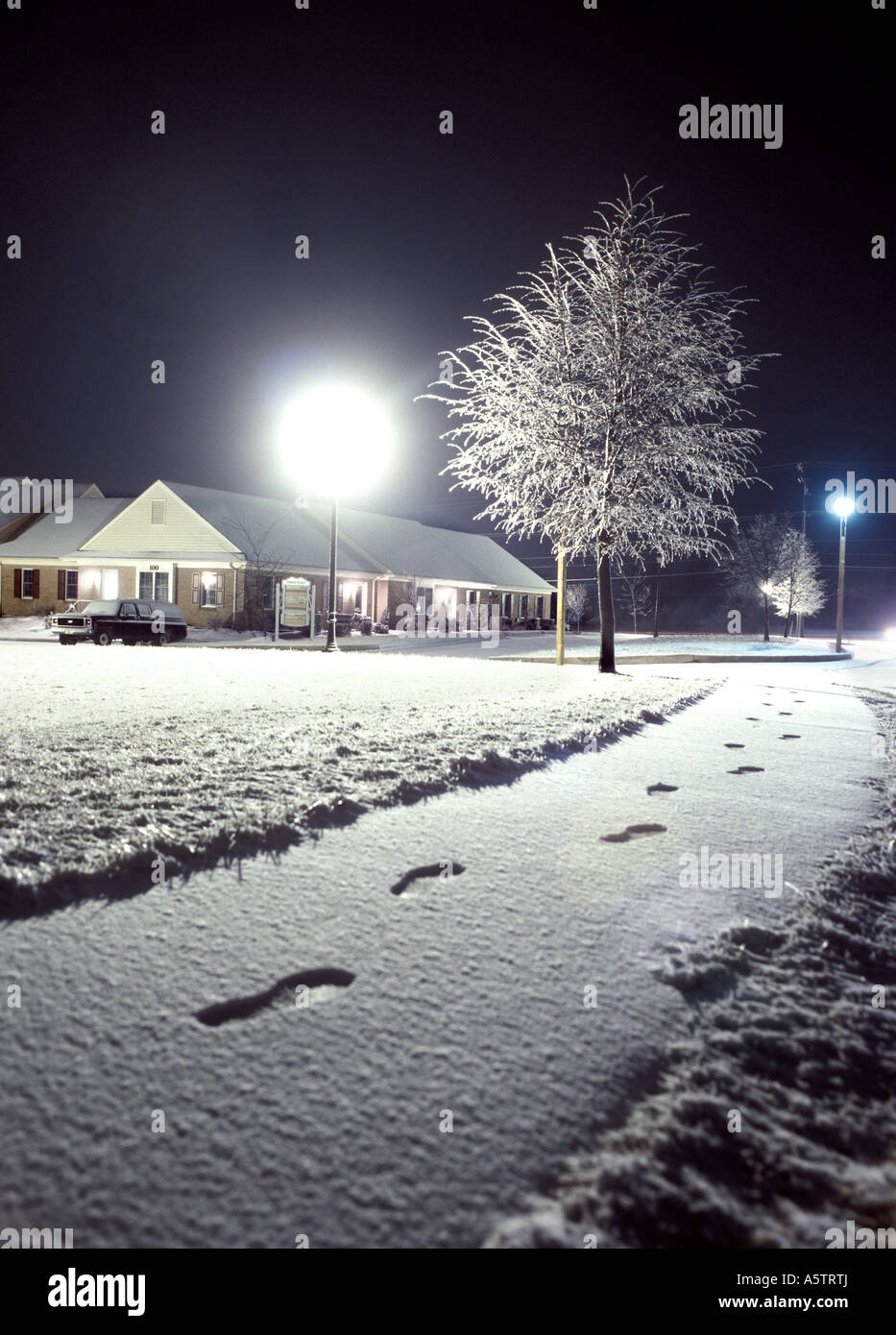 Foot Prints In Snow Sidewalk Path At Night With Lamp Light And Icy Tree ...