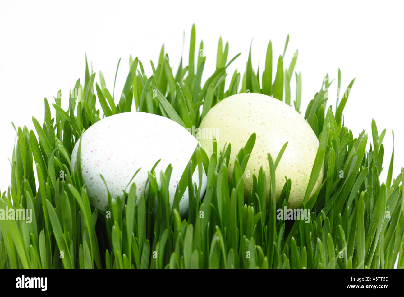 Easter Eggs in Grass Stock Photo