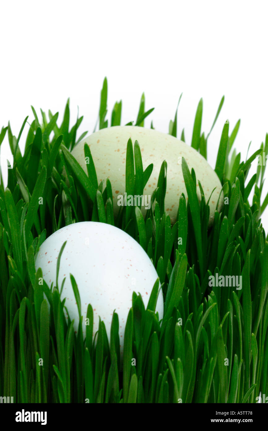 Easter Eggs in Grass Stock Photo