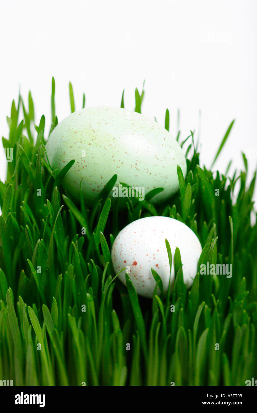 Easter Eggs in Grass Stock Photo Alamy