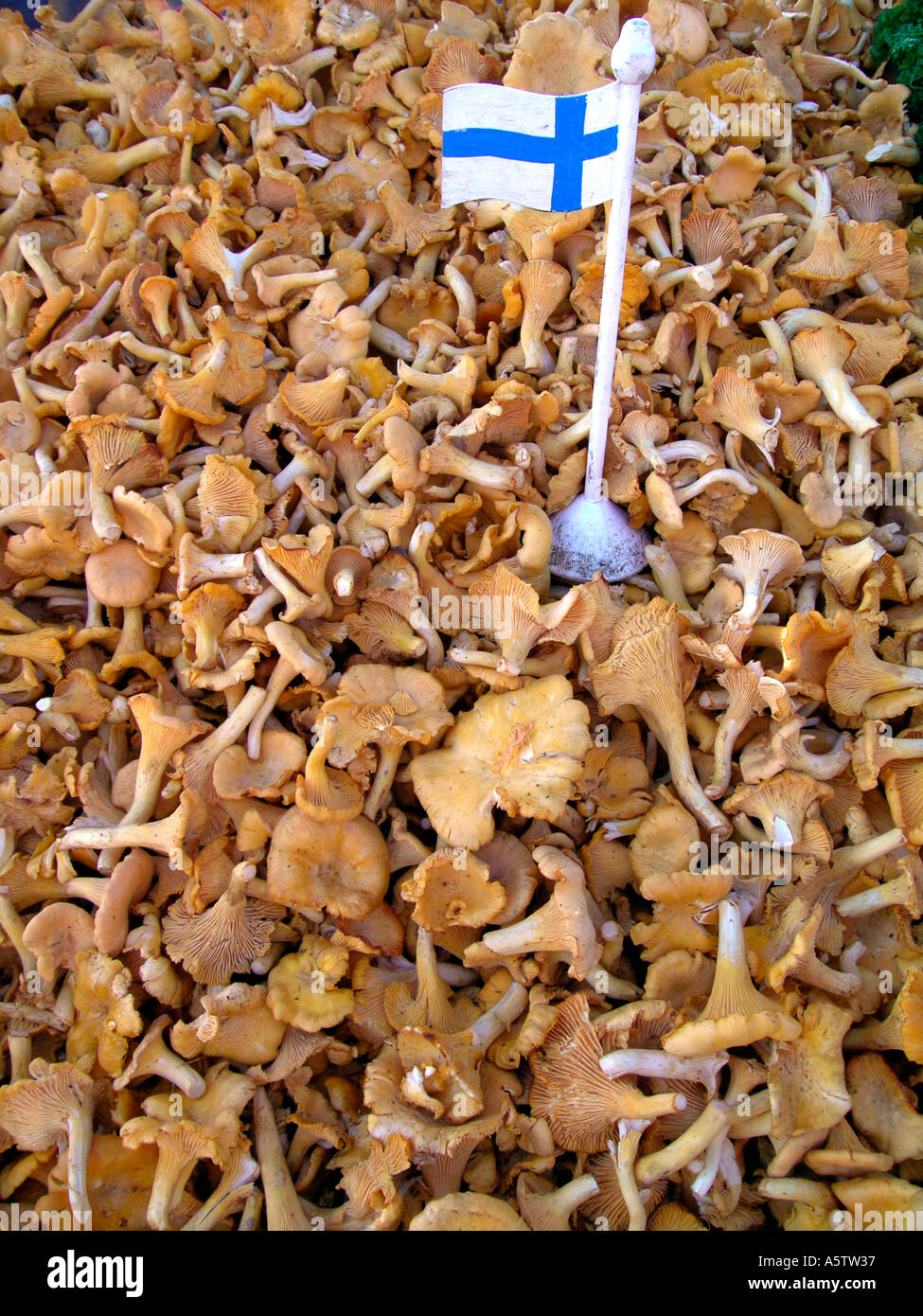 Decorated flag hires stock photography and images Alamy