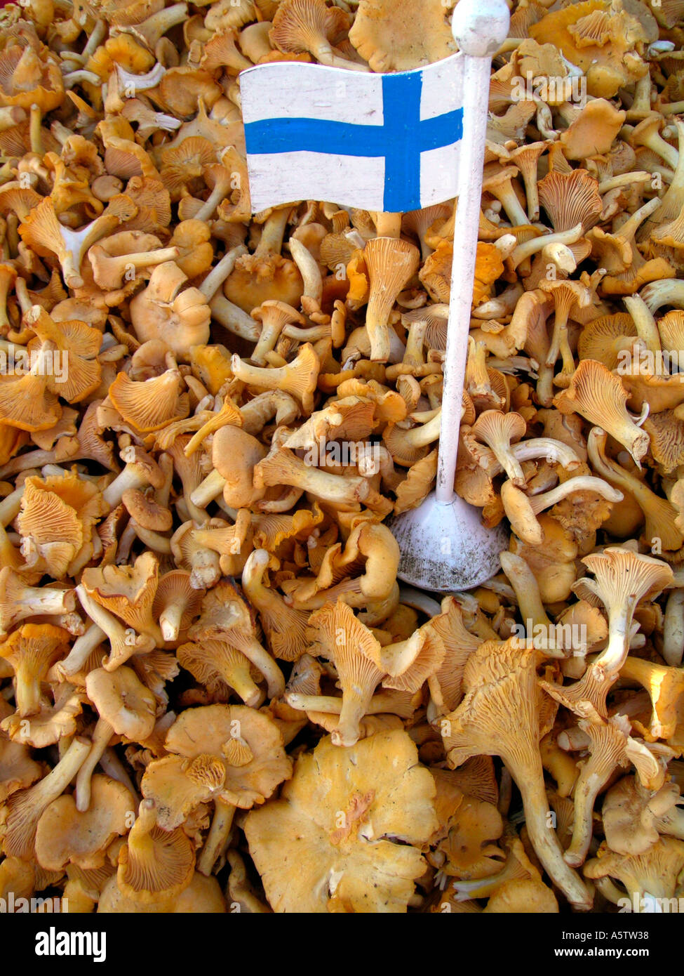 Decorated flag hires stock photography and images Alamy