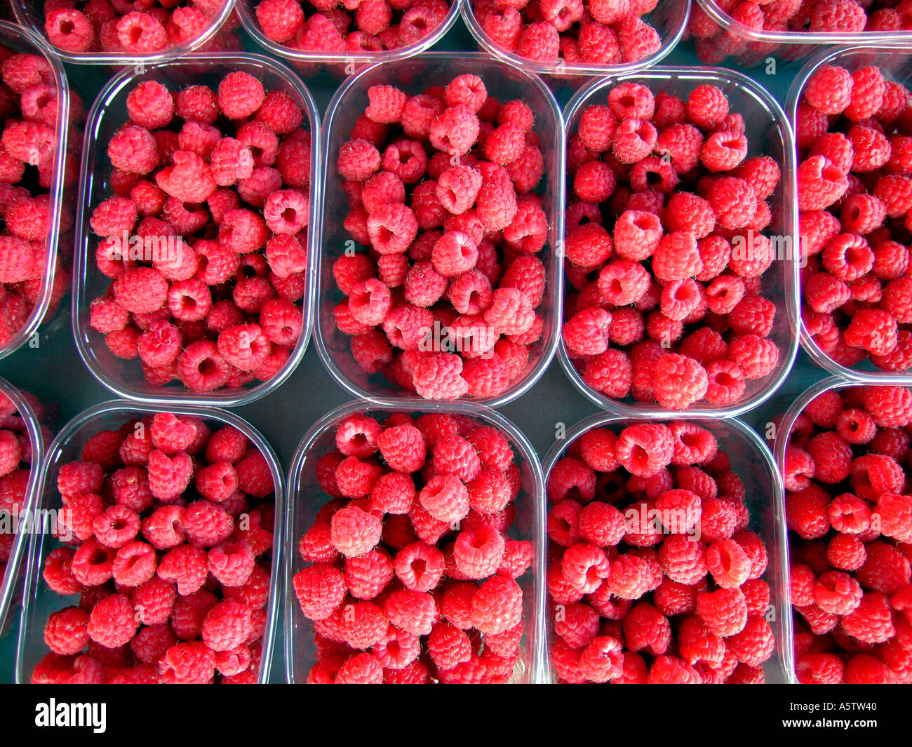Stock Photo Rasberries rasberries in boxes for sale Stock Photo - Alamy