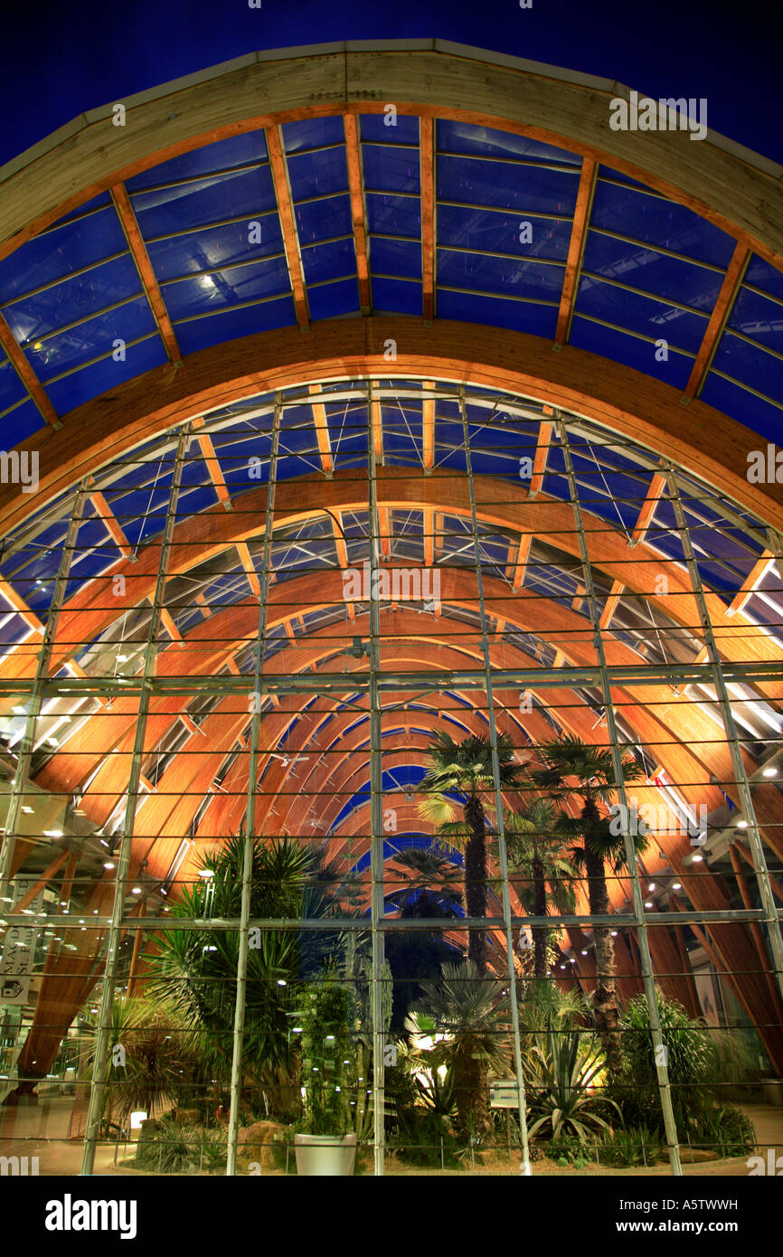 Detail of Winter Garden at night, Sheffield, South Yorkshire, England, UK. Stock Photo