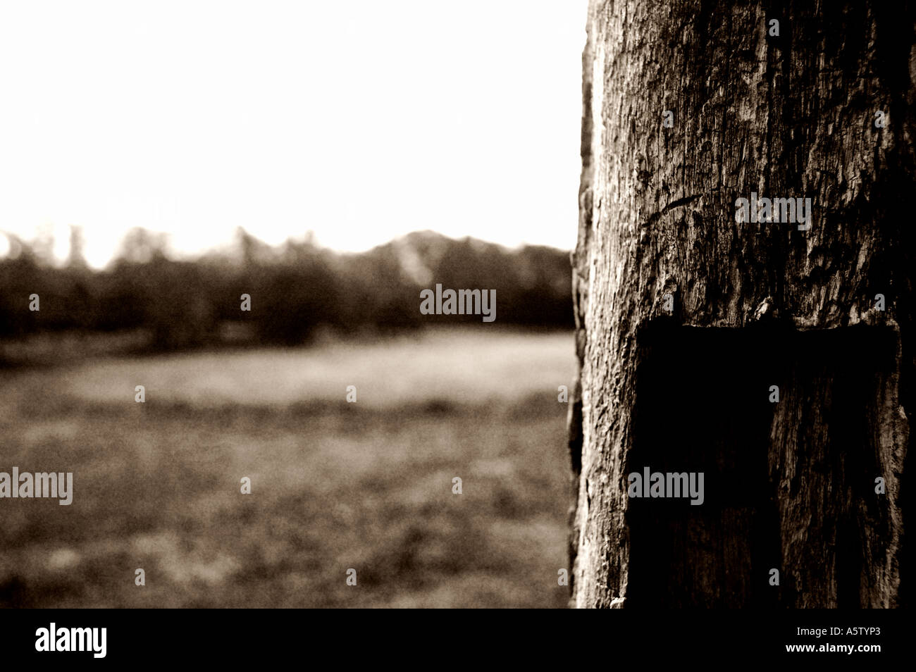 Rustic Black and White Stock Photo - Alamy