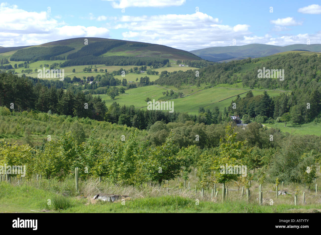 Glen Prosen, Angus XPL 4985466 Stock Photo Alamy