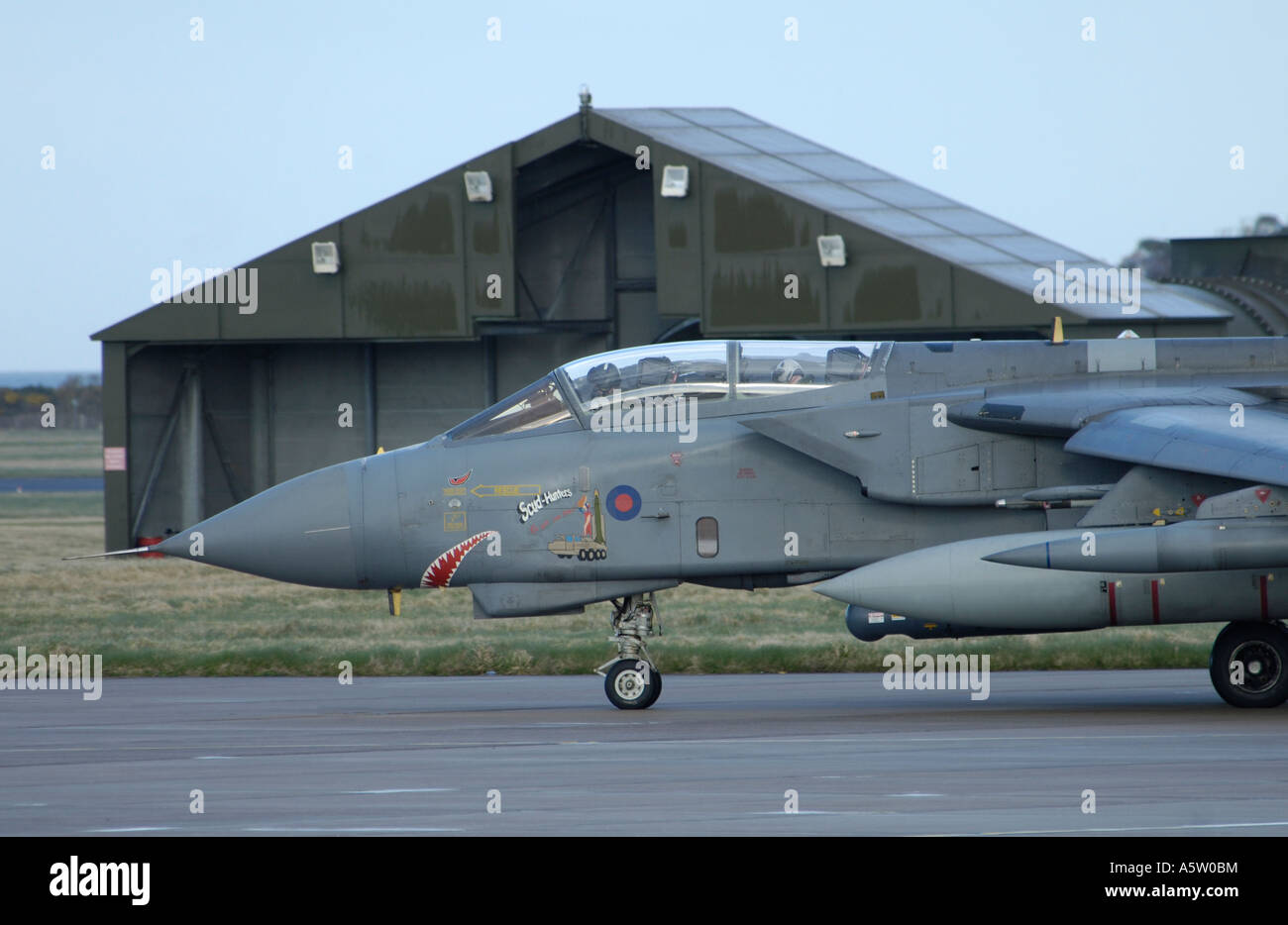 Panavia Tornado F4 Fighter Stock Photo