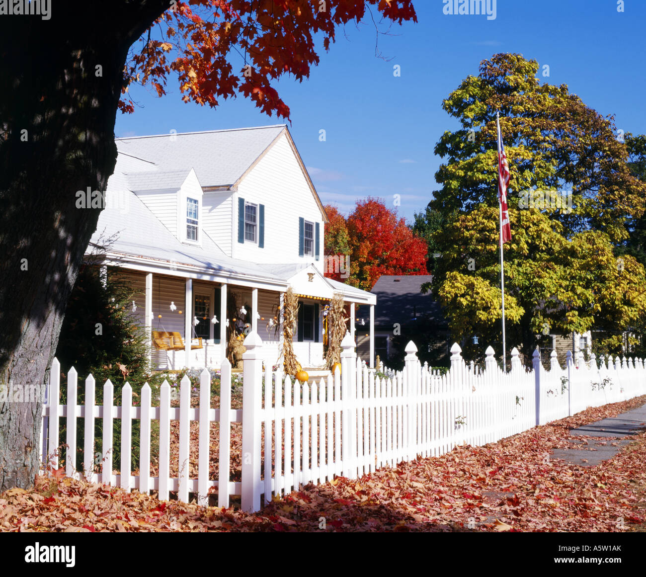 traditional white clapboard house surrounded by autumn foliage concord