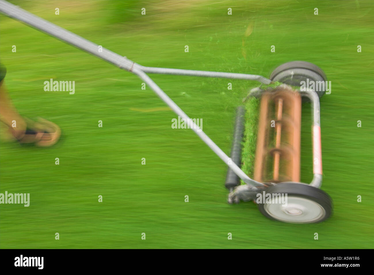 Cutting the grass Stock Photo