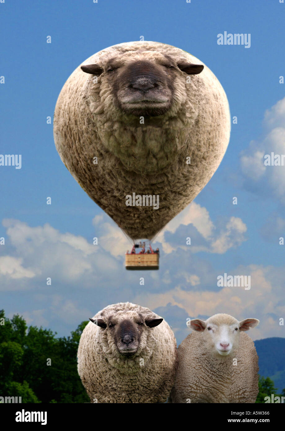sheep as hotair balloon Stock Photo Alamy