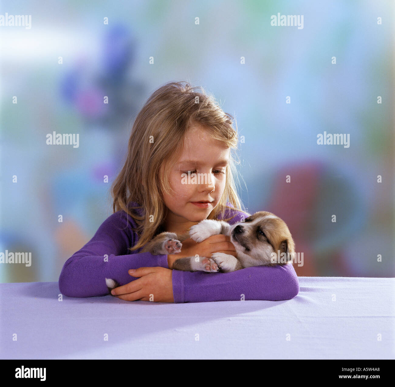girl with half breed dog puppy  21 days  in arm Stock Photo