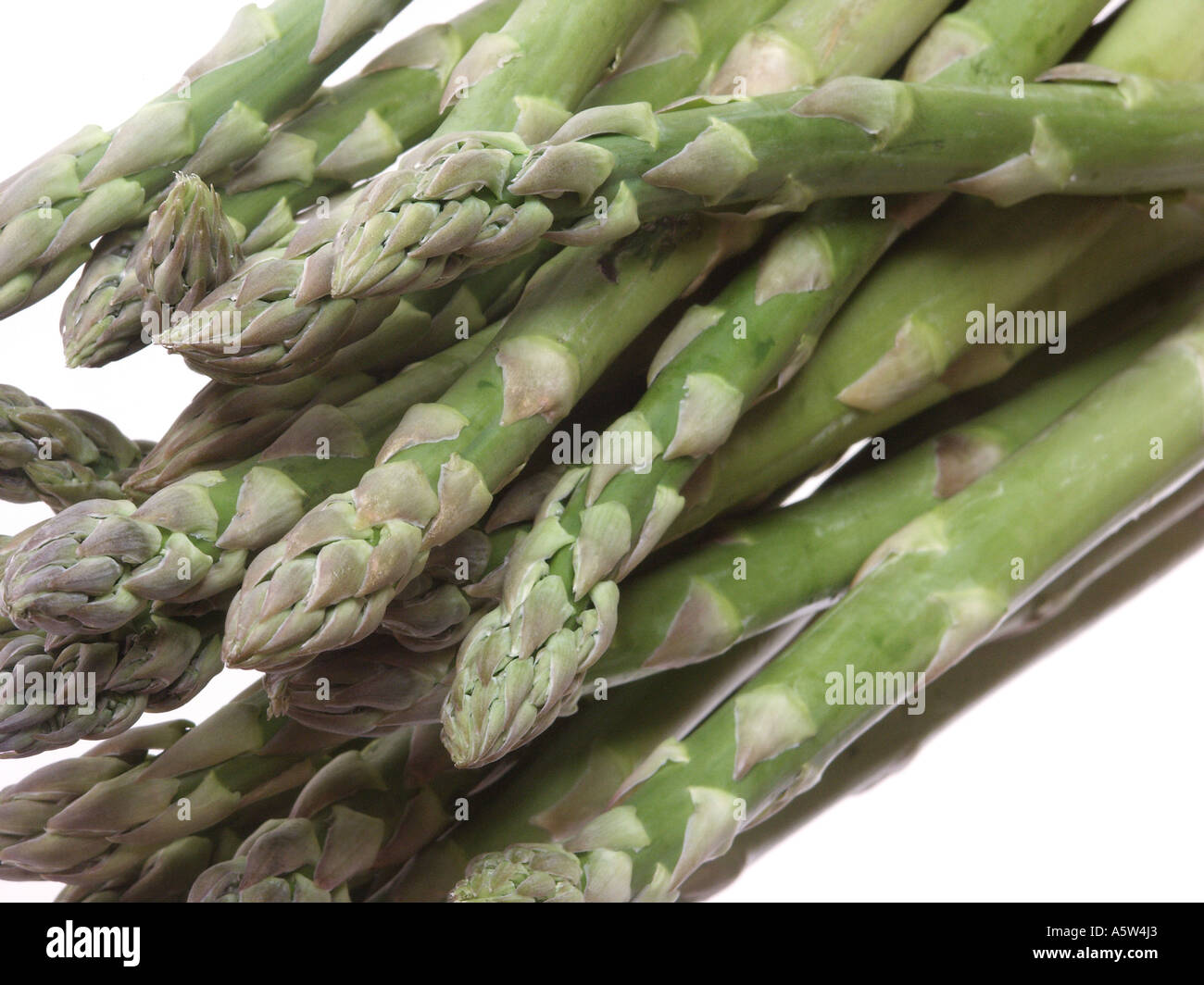 Asparagus spears Stock Photo