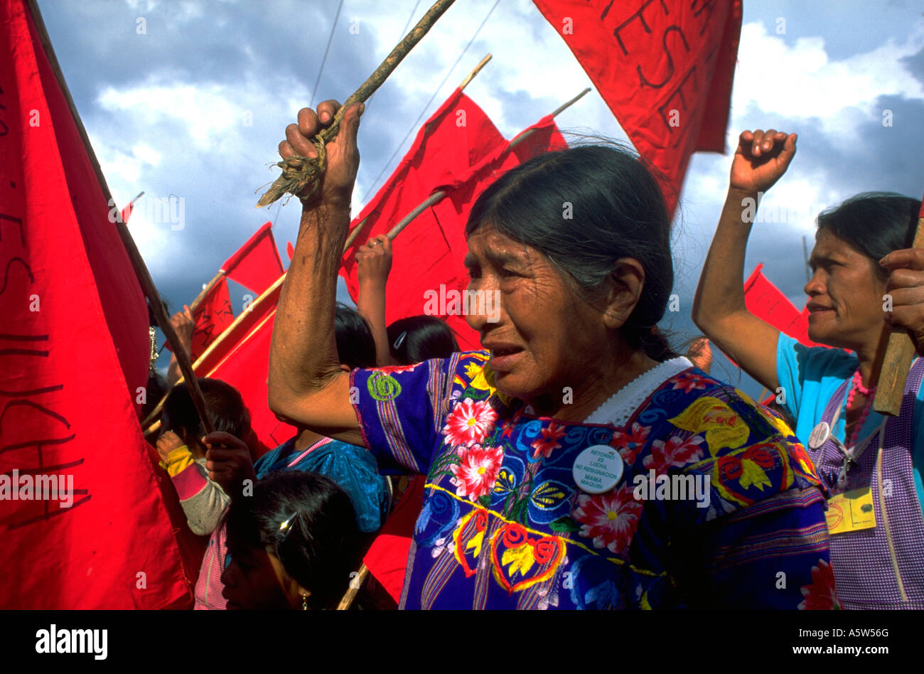 Painet hl0991 protesters waiving flags protest waving mayan guatemala woman female women females protesting leadership Stock Photo