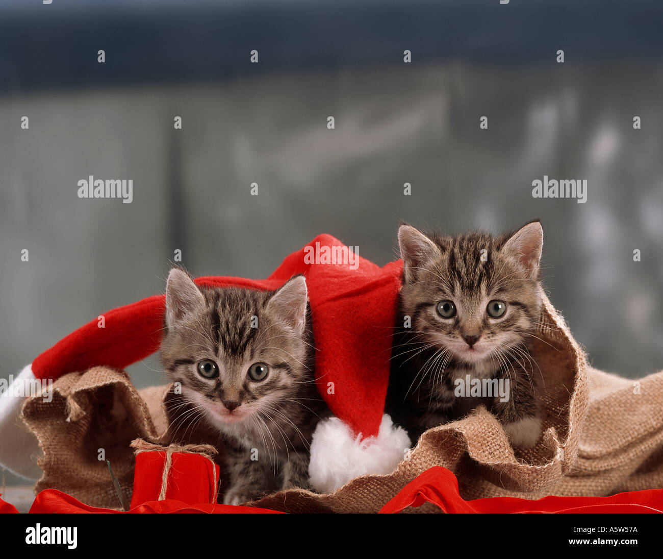 Christmas jute bags hi-res stock photography and images - Alamy