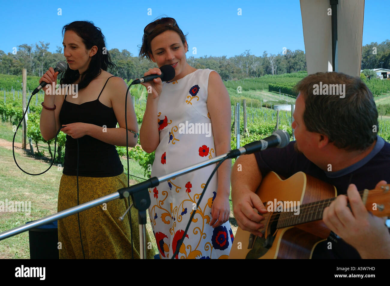 Band performing at summer outdoor concert at vineyard in the Perth
