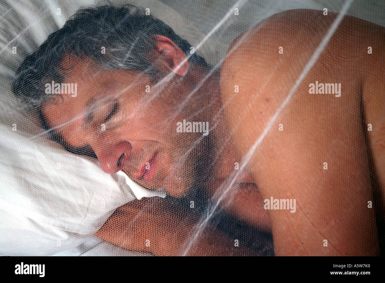 Traveller sleeping safely under a mosquito net in a hotel room in a tropical country Stock Photo