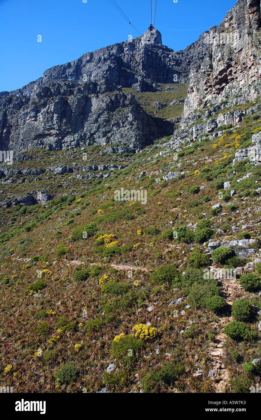 Hikers ascending track up Table Mountain underneath cable car route Cape Town South Africa Stock Photo