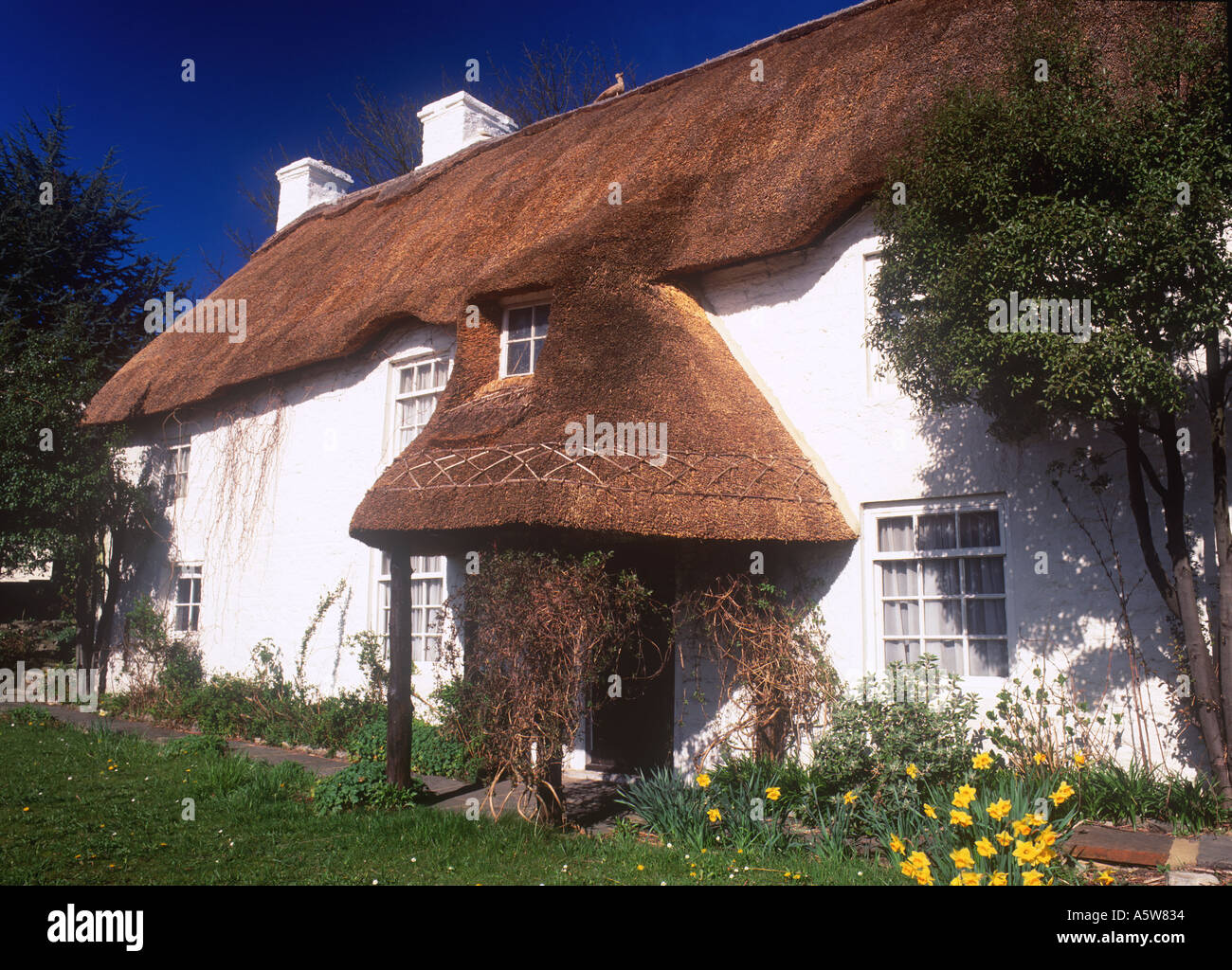 Thatched House in Bonvilston Vale of Glamorgan 25473BS  Stock Photo