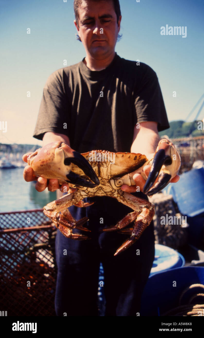 Crab fisherman with lage crab Stock Photo Alamy