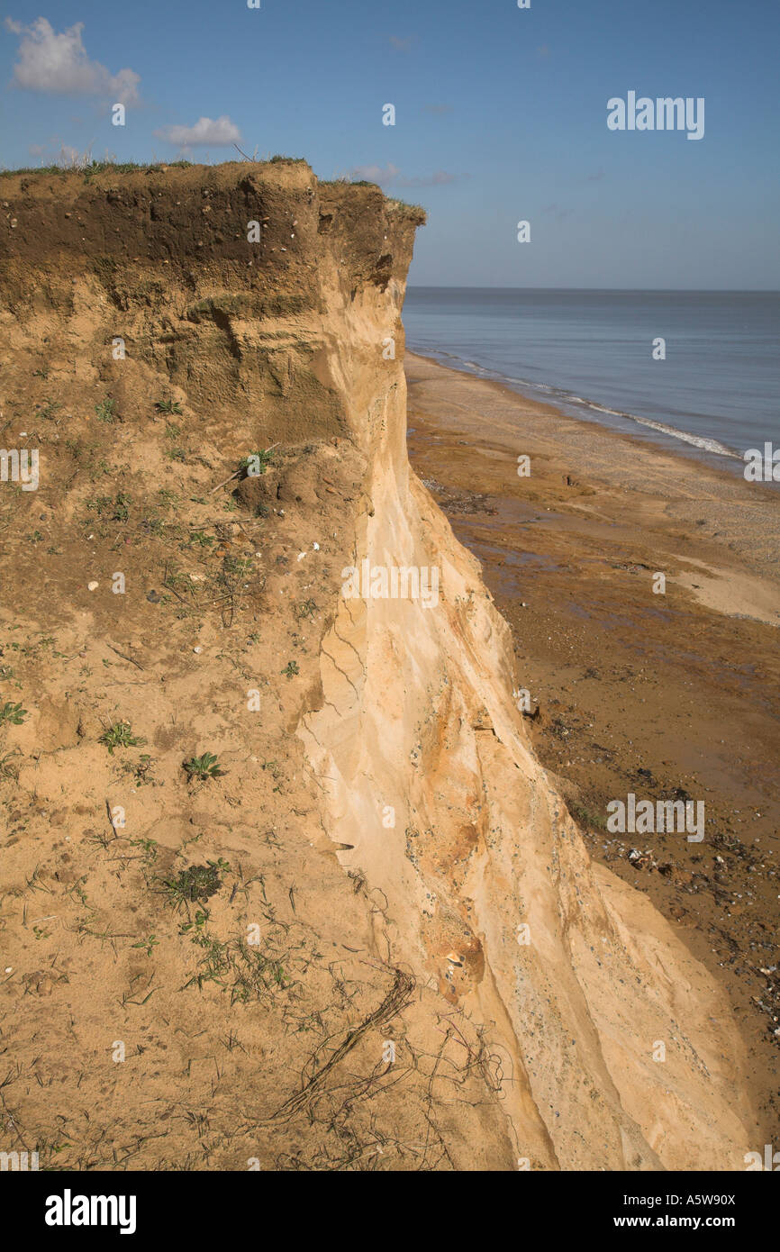 Suffolk Cliffs Coastal erosion of cliffs at Covehithe, Suffolk, England Stock Photo ...