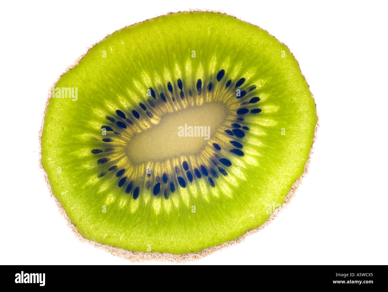 Slices of kiwi fruit Stock Photo