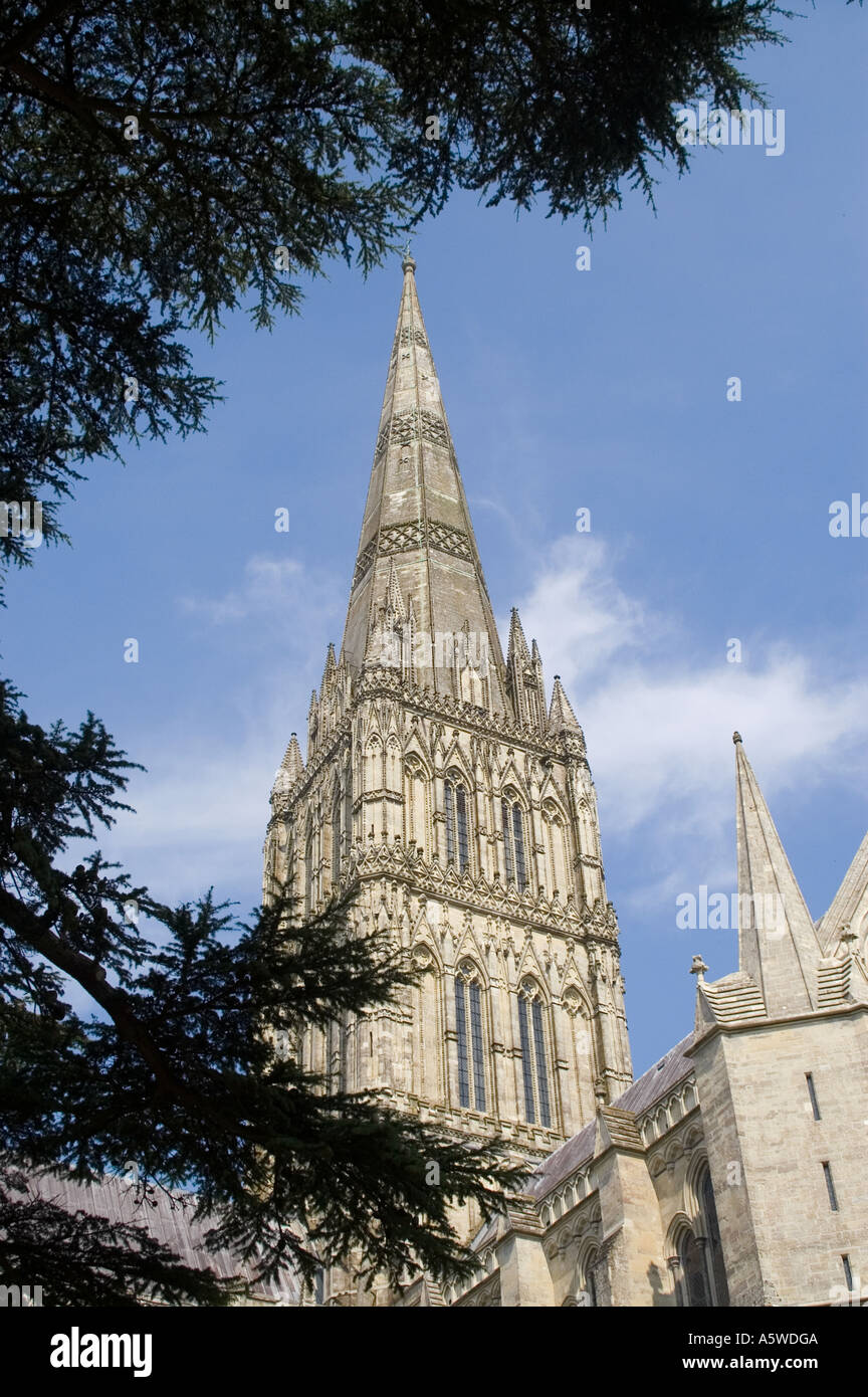 Spire of Salisbury Cathedral as seen from the Cloisters Salisbury ...