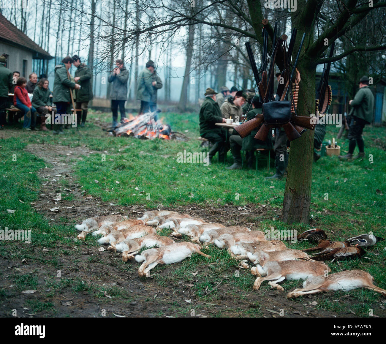 Hunting party Stock Photo Alamy