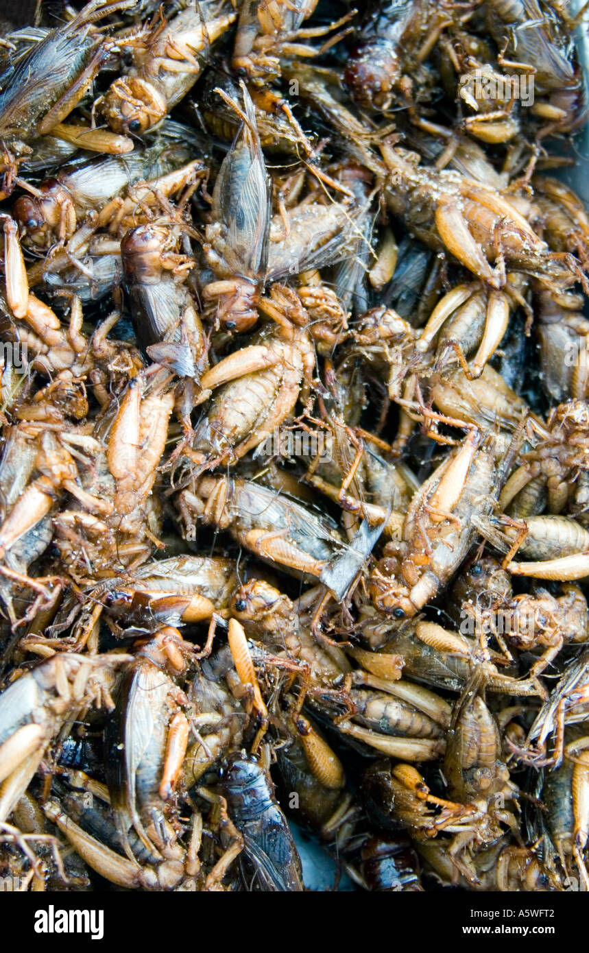Crickets Locust to eat from roadside food stall Bangkok Thailand Stock