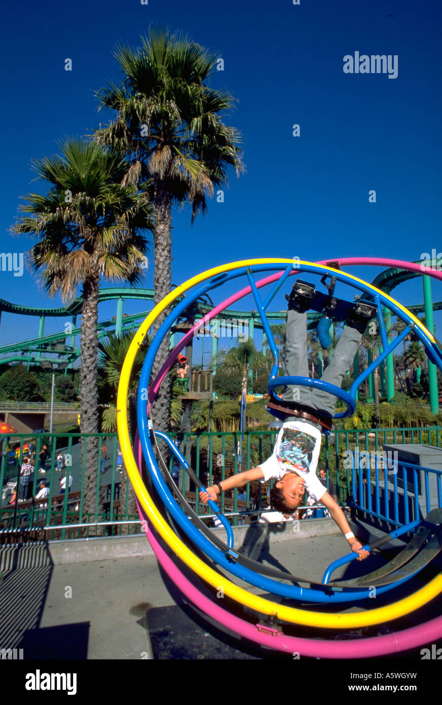 are dogs allowed on santa cruz boardwalk