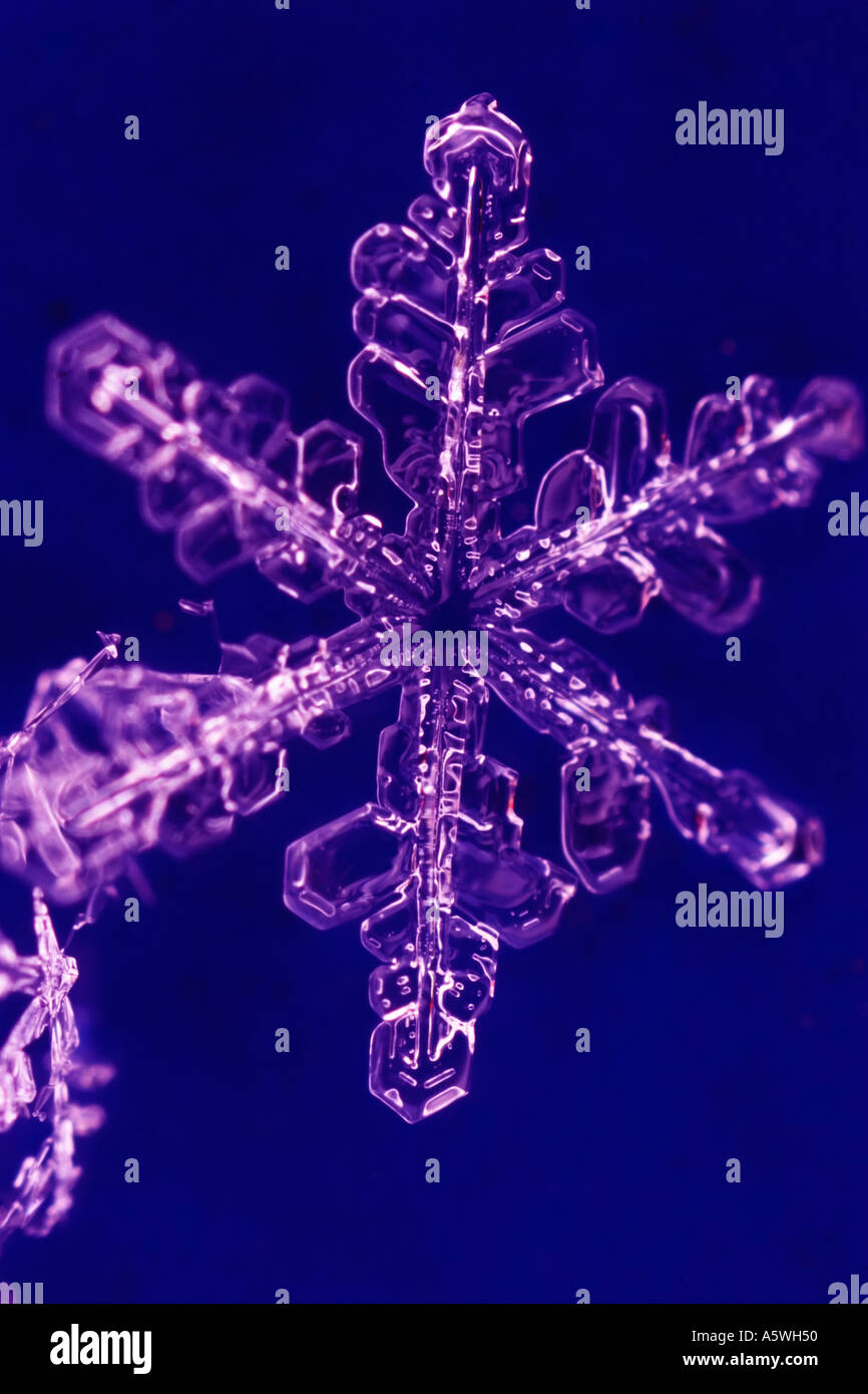 snow crystals Stock Photo