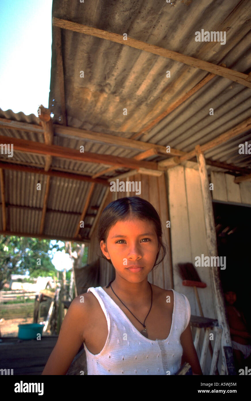 Painet Hk2344 Village Girl Child Kid Poses For Camera Amazom River Region Brazil Sympathetic Shanty Tears Amazon Portrait At Stock Photo Alamy