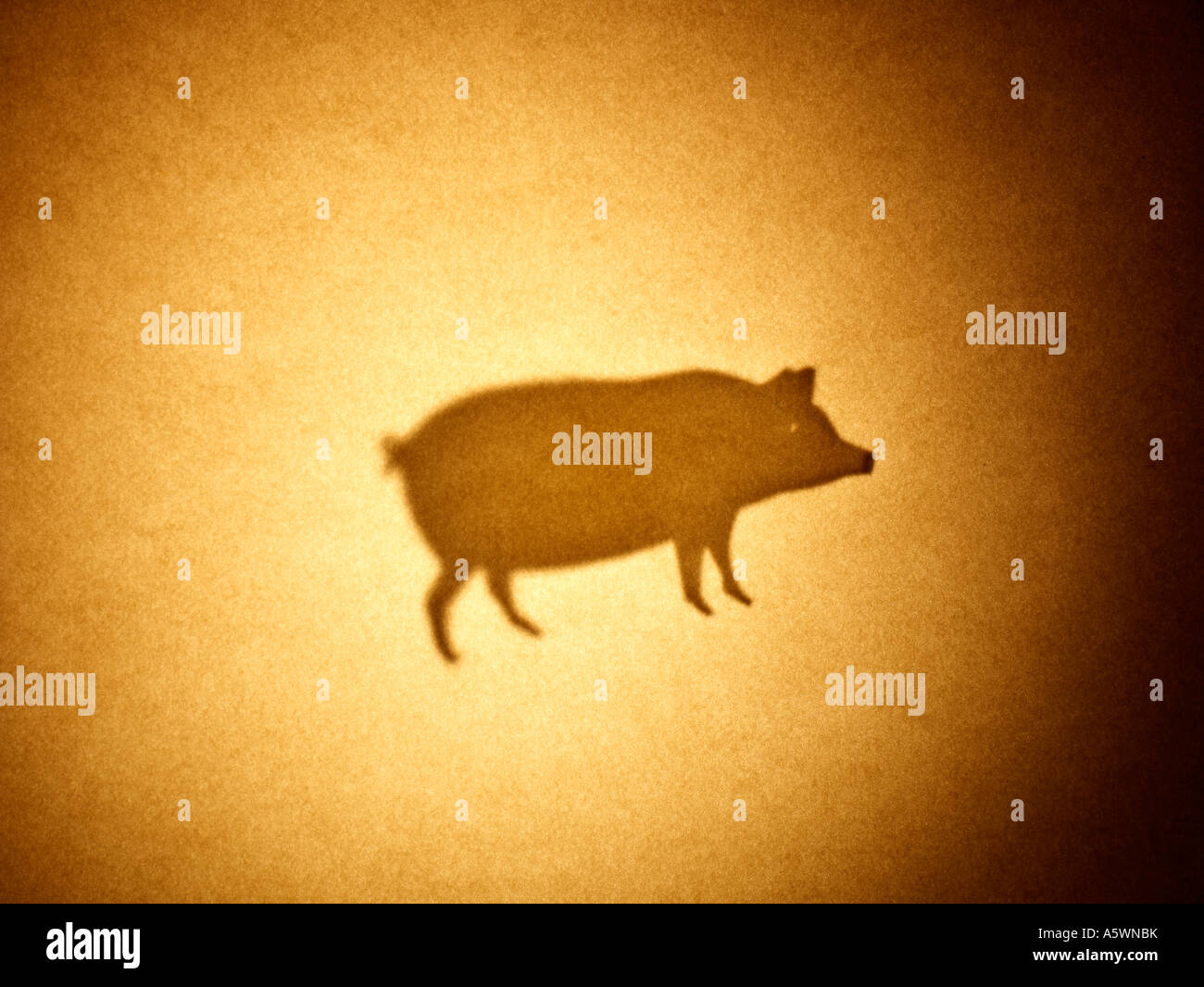 Pig silhouette Stock Photo