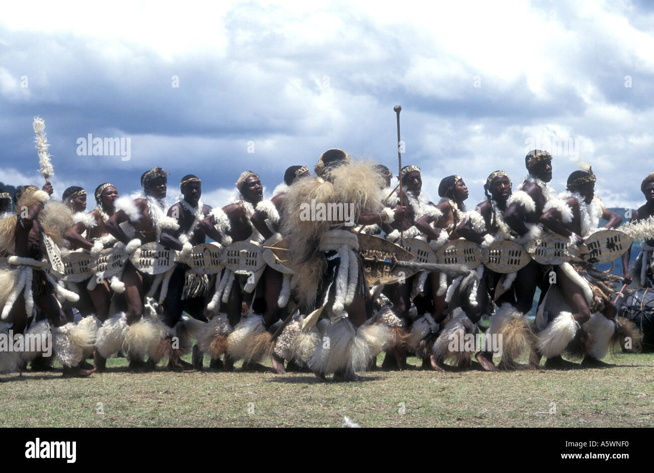 Zulu traditional dancers KwaZulu Natal Midlands South Africa Stock Photo