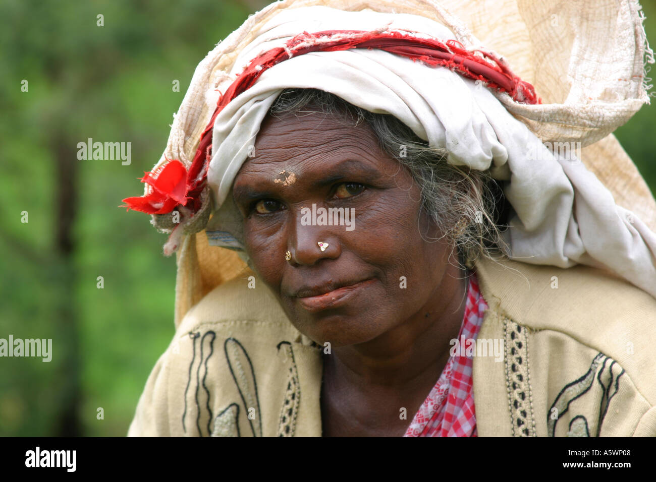 Teawomen hi-res stock photography and images - Alamy