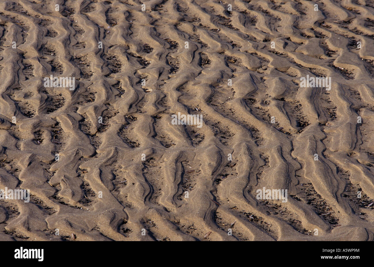 Sand ripples on a beach in England Stock Photo